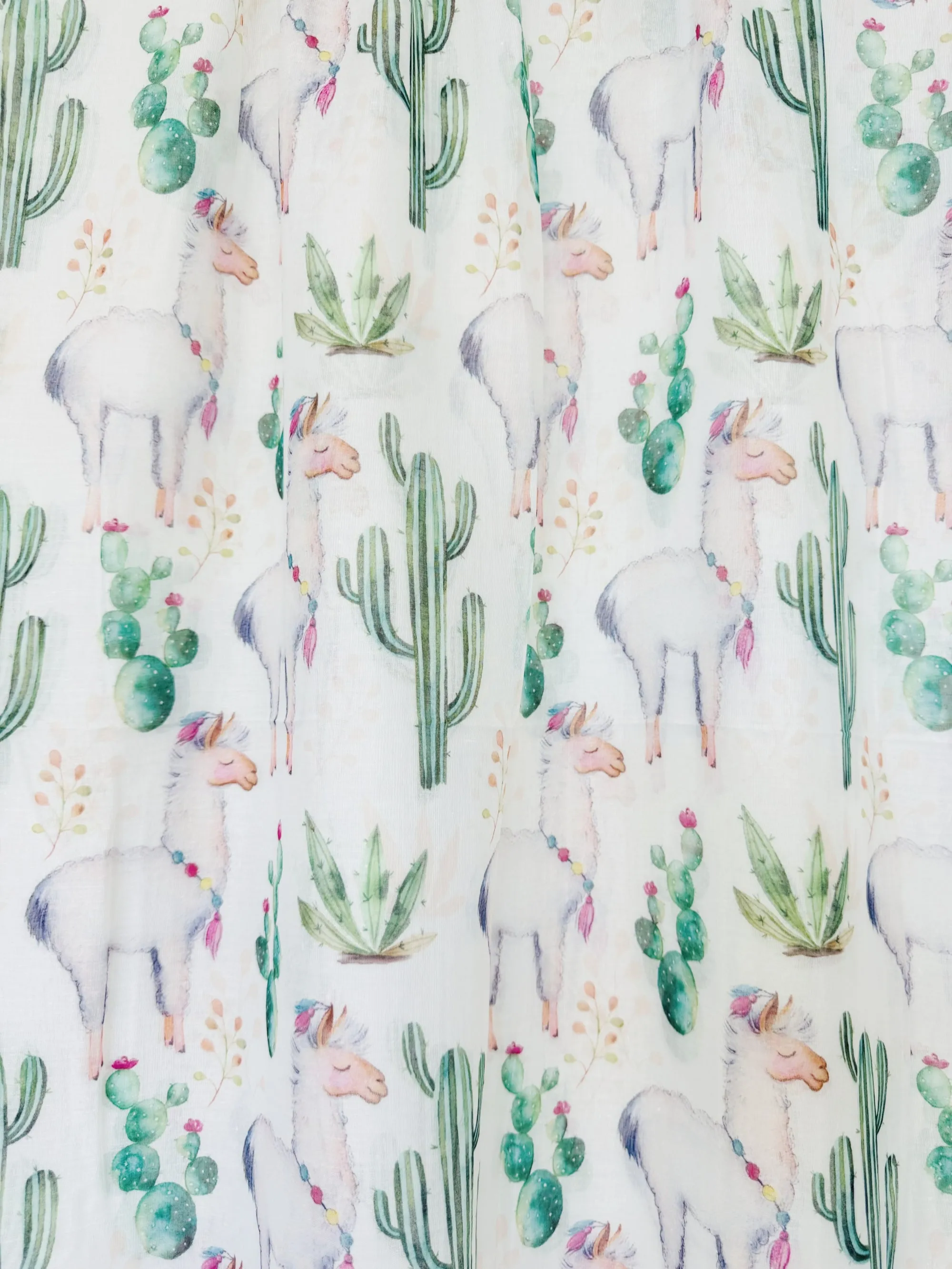 JC022906 Green Desert Breeze Scarf – Cactus & Camel Print