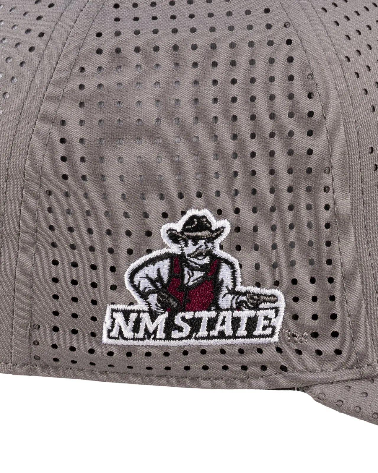 New Mexico State Laser