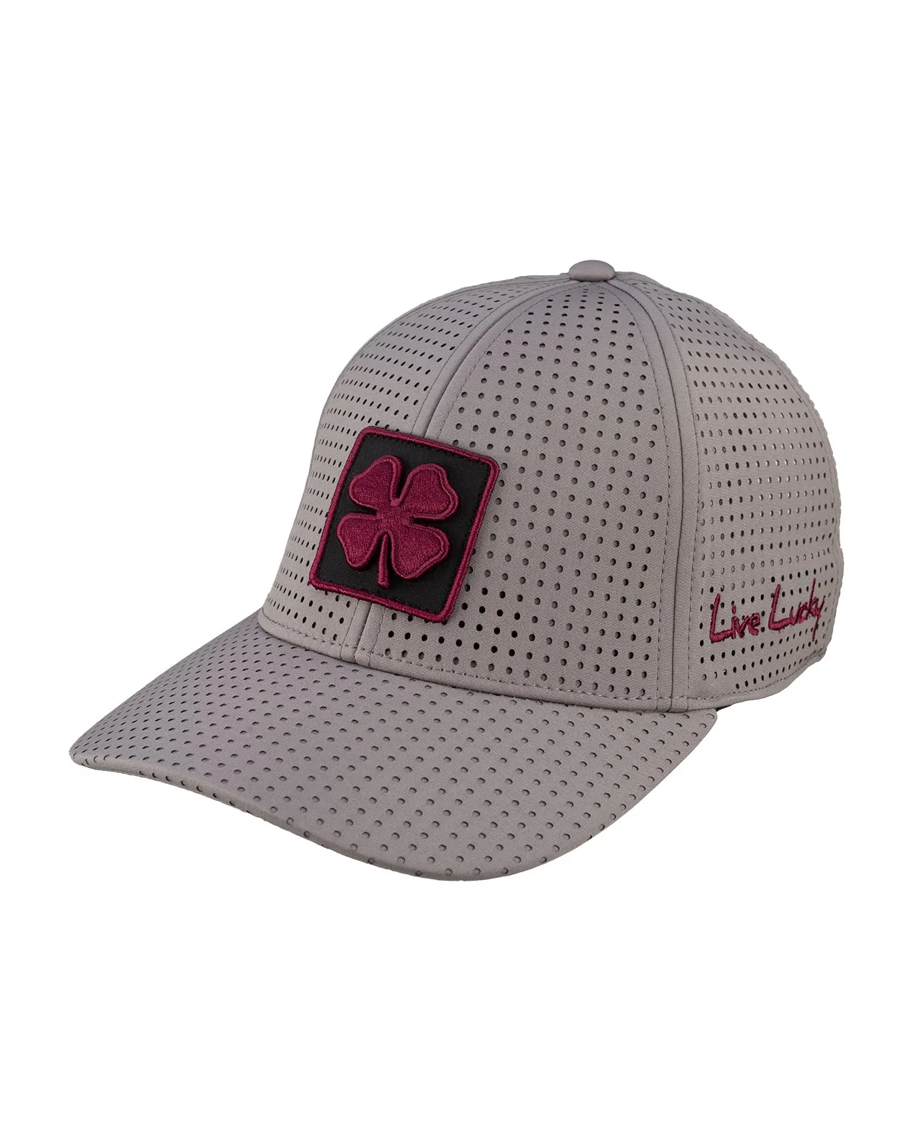 New Mexico State Laser