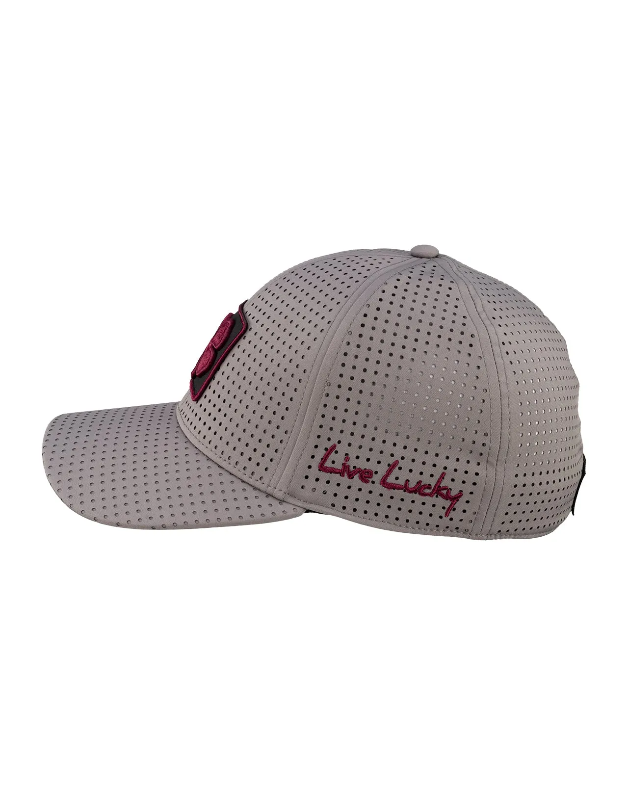 New Mexico State Laser