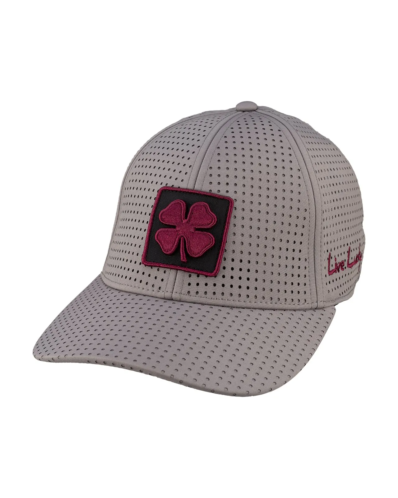 New Mexico State Laser