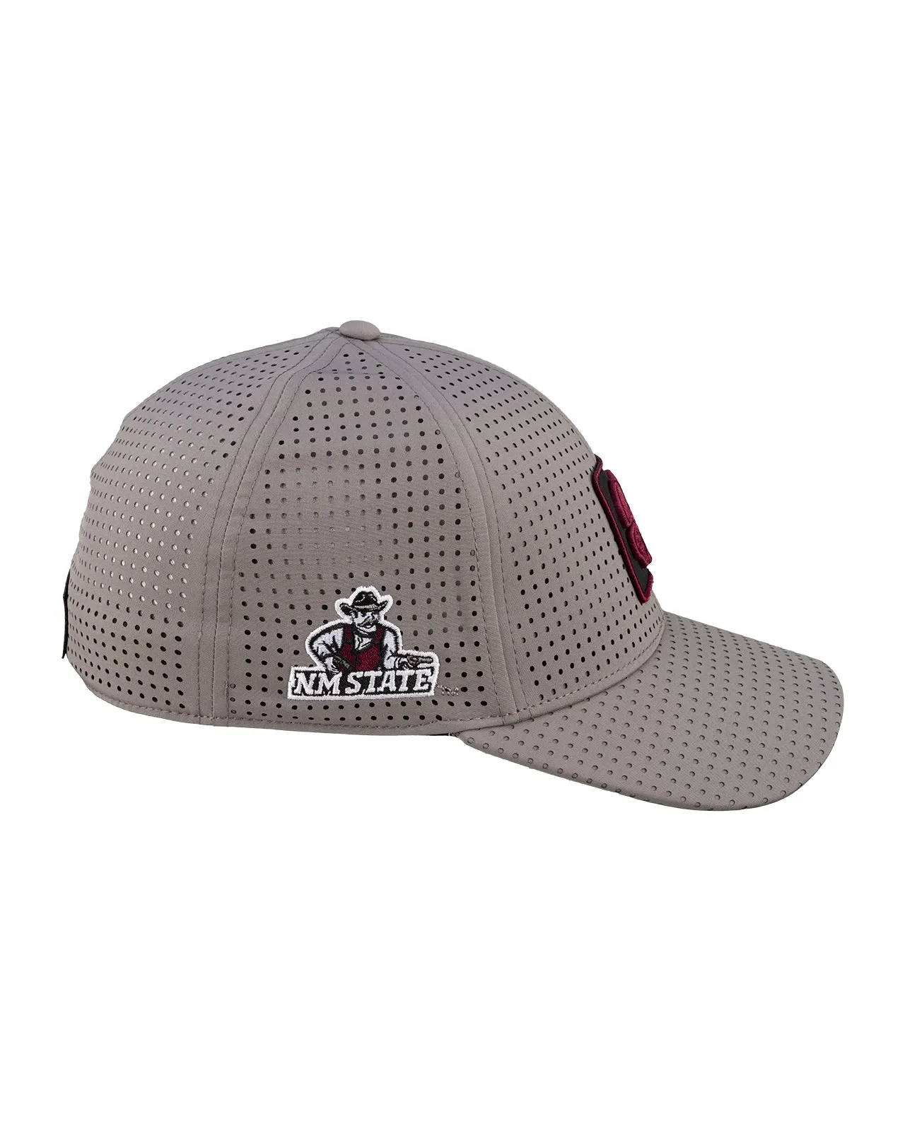 New Mexico State Laser